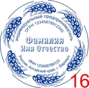 Макет для изготовления печати ИП №16